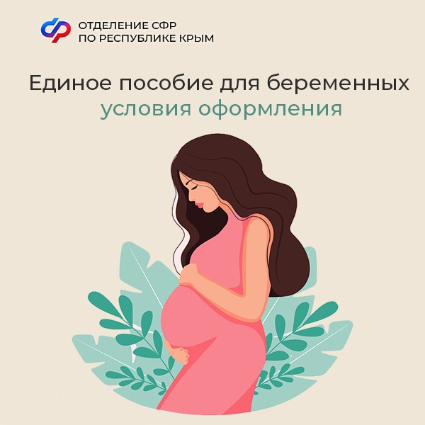 Единое пособие беременным женщинам 2024 условия. Условия беременности. Учет беременности. Токсикоз на 12 неделе беременности. Беременность и не беременность.